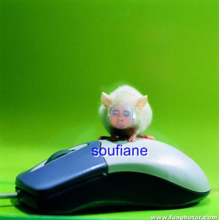 soufiane farefor